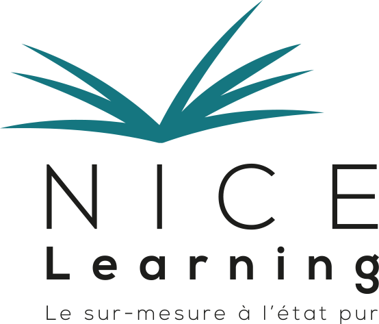 ikadia-portfolio-nice-learning-logo
