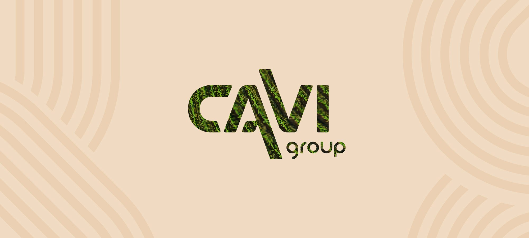 Logo CAVI Group