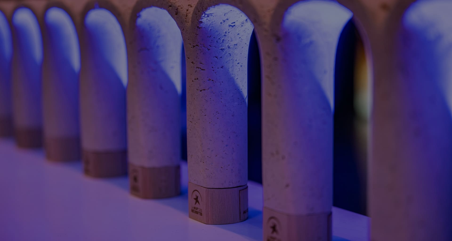 Les trophées de la nuit des réussites, un évènement local pour récompenser les talents aubois