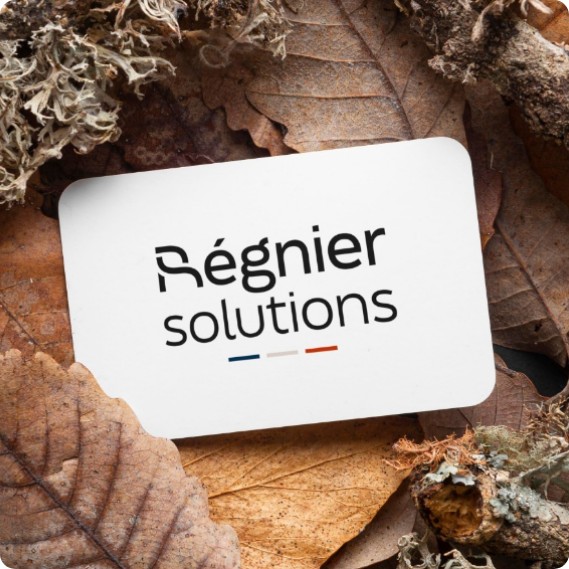 Carte de visite Régnier Solutions posée sur un fond végétal, illustrant une identité visuelle artisanale et durable dans l’univers du mobilier en bois