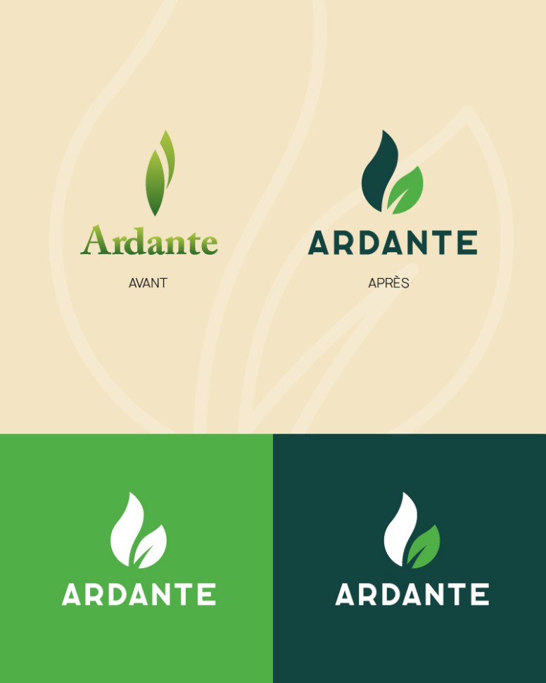 Planche graphique présentant la charte couleur et typo de la marque Ardante, spécialisée en bois énergie