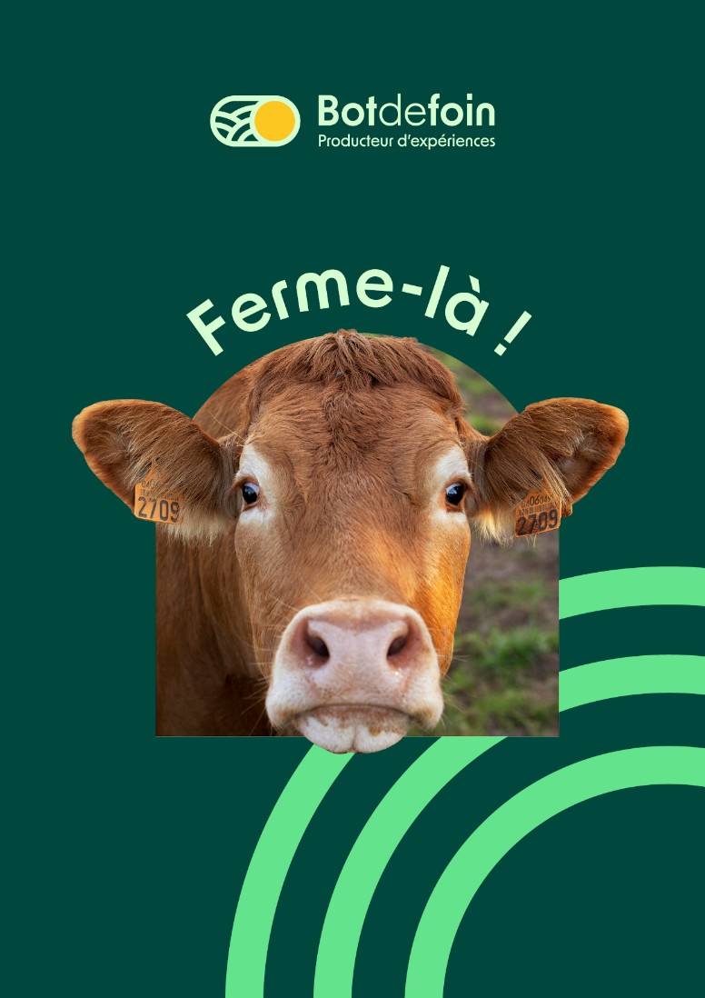 Illustration visuelle audacieuse pour Botdefoin, positionnement agricole sympathique et décalé