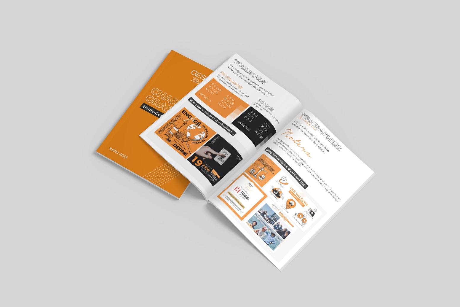 Charte graphique réseaux sociaux du réseau GESICA valorisant les couleurs, la typographie et les illustrations