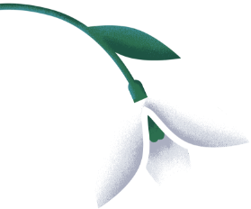 plante-1