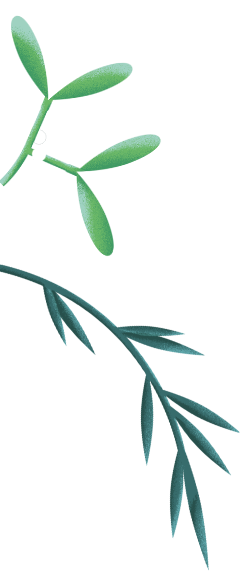 plante-7