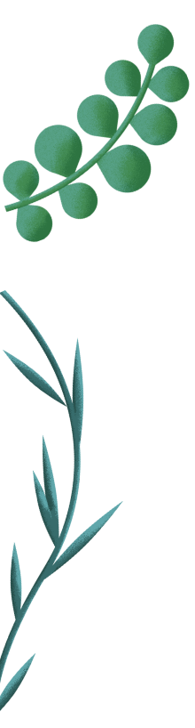 plante-8