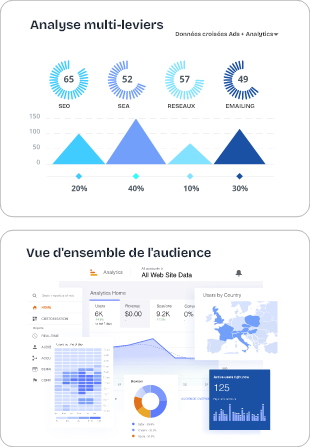 Infographie illustrant en exemple l'analyse multi-leviers et la vue d'ensemble de l'audience de la stratégie webmarketing.